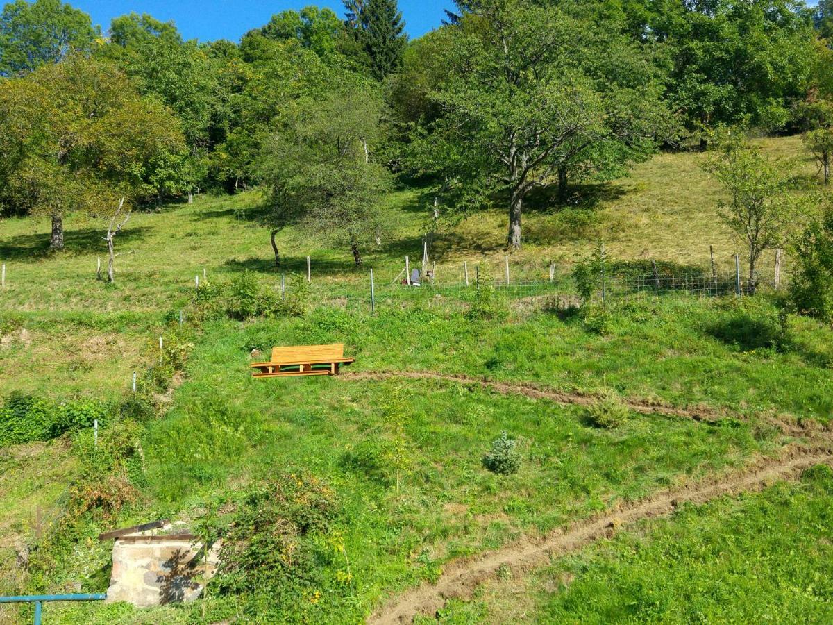 Le Chamois Villa Sondernach Bagian luar foto